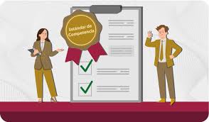Estándares de competencia